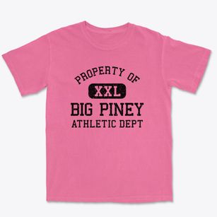 Big Piney Wyoming Athletic Dept Premium Heavyweight T-shirt