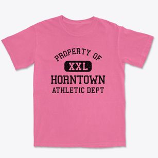 Horntown Virginia Athletic Dept Premium Heavyweight T-shirt