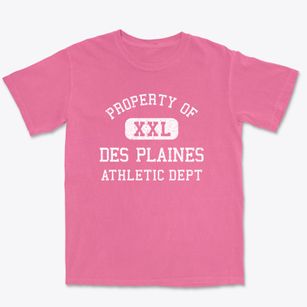 Des Plaines Illinois Athletic Dept Premium Heavyweight T-shirt