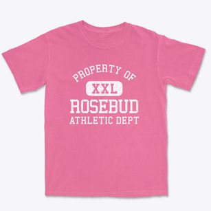 Rosebud Texas Athletic Dept Premium Heavyweight T-shirt