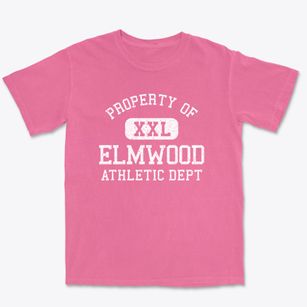 Elmwood Nebraska Athletic Dept Premium Heavyweight T-shirt