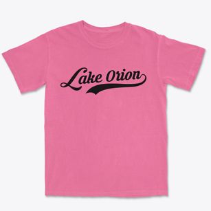 Lake Orion Michigan Vintage Team Premium Heavyweight T-shirt