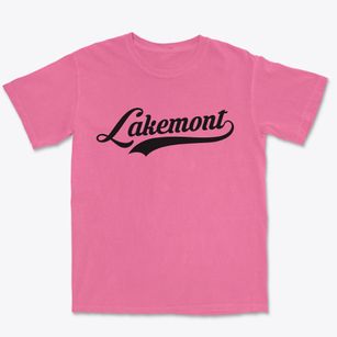Lakemont Pennsylvania Vintage Team Premium Heavyweight T-shirt