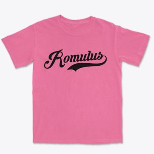 Romulus Michigan Vintage Team Premium Heavyweight T-shirt
