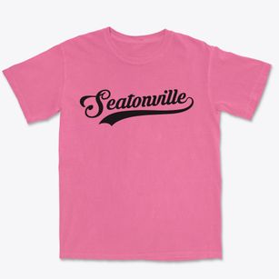 Seatonville Illinois Vintage Team Premium Heavyweight T-shirt