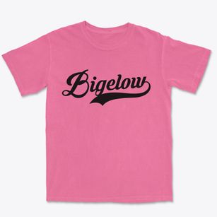 Bigelow Minnesota Vintage Team Premium Heavyweight T-shirt