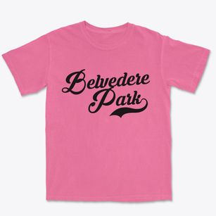 Belvedere Park Georgia Vintage Team Premium Heavyweight T-shirt