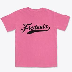 Fredonia New York Vintage Team Premium Heavyweight T-shirt