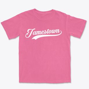 Jamestown North Carolina Vintage Team Premium Heavyweight T-shirt
