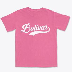 Bolivar New York Vintage Team Premium Heavyweight T-shirt