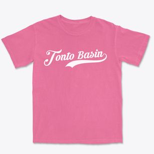 Tonto Basin Arizona Vintage Team Premium Heavyweight T-shirt