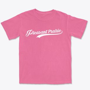 Pleasant Prairie Wisconsin Vintage Team Premium Heavyweight T-shirt
