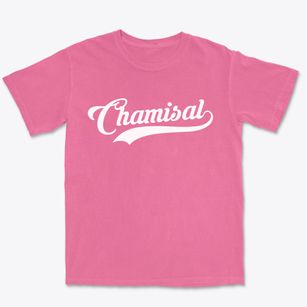 Chamisal New Mexico Vintage Team Premium Heavyweight T-shirt