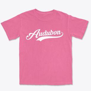 Audubon New Jersey Vintage Team Premium Heavyweight T-shirt