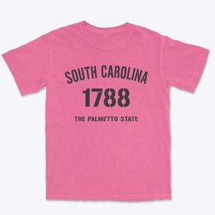  South Carolina Established Premium Heavyweight T-shirt