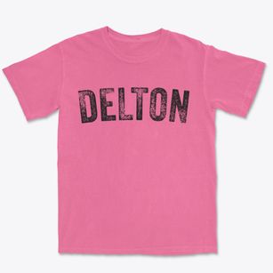 Delton Wisconsin Timeless Retro Premium Heavyweight T-shirt