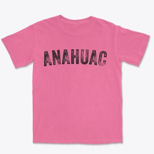 Anahuac Texas Timeless Retro Premium Heavyweight T-shirt
