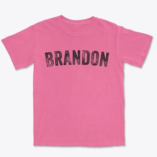 Brandon Florida Timeless Retro Premium Heavyweight T-shirt