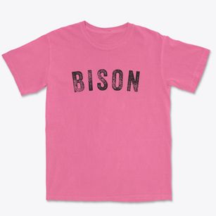 Bison South Dakota Timeless Retro Premium Heavyweight T-shirt
