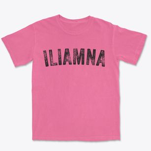 Iliamna Alaska Timeless Retro Premium Heavyweight T-shirt