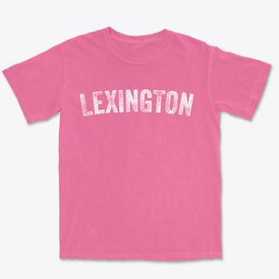 Lexington Virginia Timeless Retro Premium Heavyweight T-shirt
