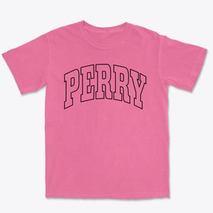Perry Utah Trendy Block Premium Heavyweight T-shirt