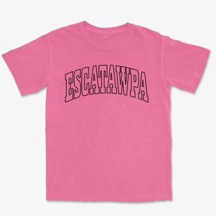 Escatawpa Mississippi Trendy Block Premium Heavyweight T-shirt