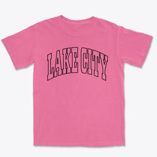 Lake City Pennsylvania Trendy Block Premium Heavyweight T-shirt