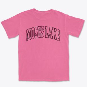 Moses Lake Washington Trendy Block Premium Heavyweight T-shirt