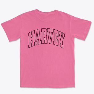Harvey Louisiana Trendy Block Premium Heavyweight T-shirt