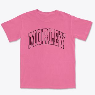 Morley Michigan Trendy Block Premium Heavyweight T-shirt