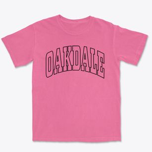 Oakdale New York Trendy Block Premium Heavyweight T-shirt