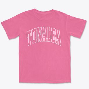 Tonalea Arizona Trendy Block Premium Heavyweight T-shirt