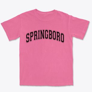 Springboro Pennsylvania Varsity Premium Heavyweight T-shirt