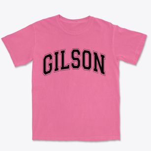 Gilson Illinois Varsity Premium Heavyweight T-shirt