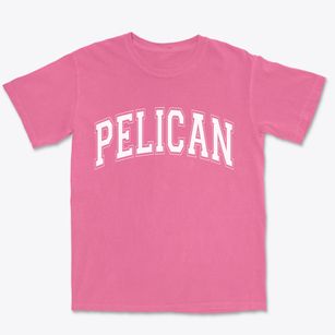 Pelican Wisconsin Varsity Premium Heavyweight T-shirt