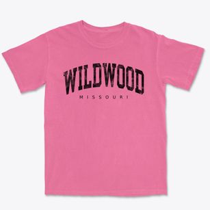 Wildwood Missouri Urban Vibe Premium Heavyweight T-shirt