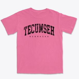 Tecumseh Nebraska Urban Vibe Premium Heavyweight T-shirt