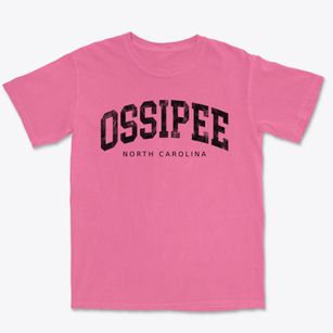 Ossipee North Carolina Urban Vibe Premium Heavyweight T-shirt