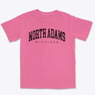 North Adams Michigan Urban Vibe Premium Heavyweight T-shirt