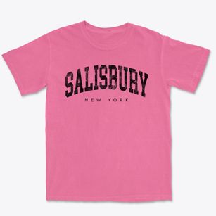 Salisbury New York Urban Vibe Premium Heavyweight T-shirt