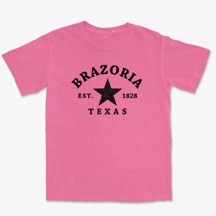 Brazoria Texas Star Premium Heavyweight T-shirt