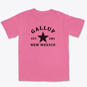 Gallup New Mexico Star Premium Heavyweight T-shirt