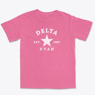 Delta Utah Star Premium Heavyweight T-shirt