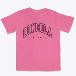 Dongola Illinois Inline Premium Heavyweight T-shirt
