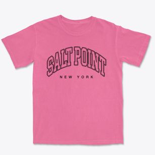 Salt Point New York Inline Premium Heavyweight T-shirt