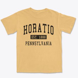 Horatio Pennsylvania Classic Established Premium Heavyweight T-shirt
