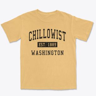 Chillowist Washington Classic Established Premium Heavyweight T-shirt