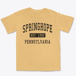 Springhope Pennsylvania Classic Established Premium Heavyweight T-shirt
