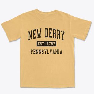 New Derry Pennsylvania Classic Established Premium Heavyweight T-shirt